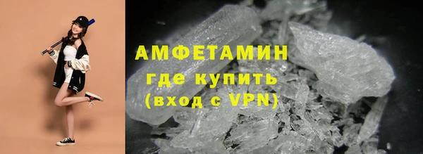 прущие грибы Баксан