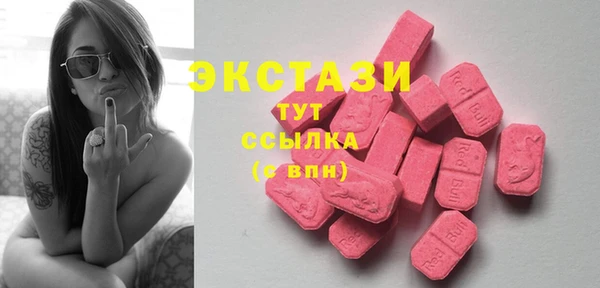 прущие грибы Рославль