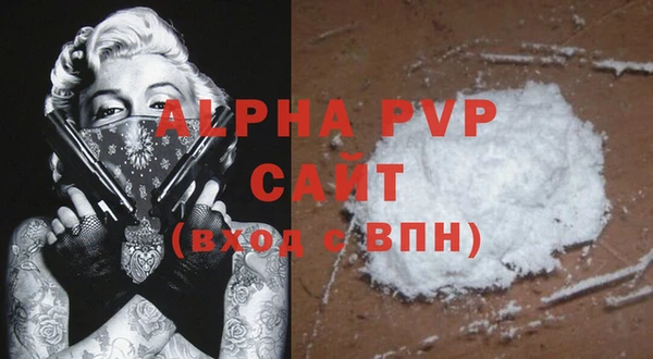 прущие грибы Баксан