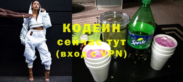прущие грибы Рославль